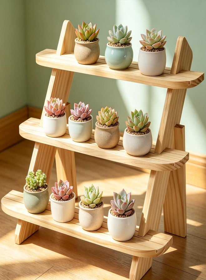 WHEARTED Wooden Display Riser,3 Tier Earring & Ring Holder Stands,Farmhouse Cupcake Stands ,Table Display Stand For Vendors,Organizer Showcase for Tabletop Shows and Home Using ,Wood Rustic Risers - Image 1