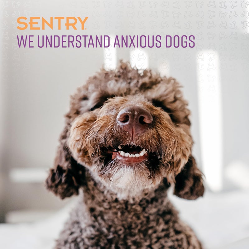 SENTRY PET CARE Sentry Calming Collar For Dogs, Anxiety Reducing Pheromone Collar, Releases Pheromones for 30 Days, Helps Calm During Loud Noises and Separation, 3 Count - Image 4