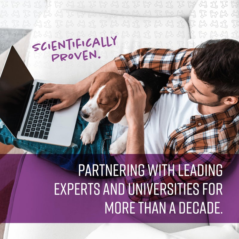 SENTRY PET CARE Sentry Calming Collar For Dogs, Anxiety Reducing Pheromone Collar, Releases Pheromones for 30 Days, Helps Calm During Loud Noises and Separation, 3 Count - Image 5