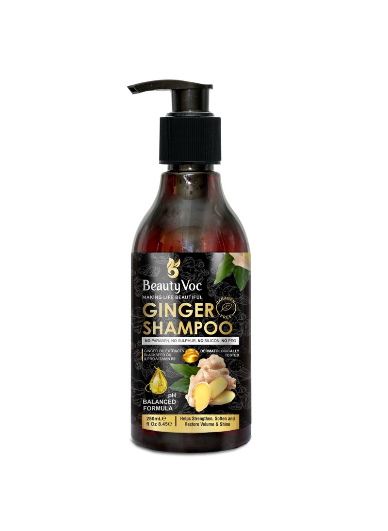 BEAUTY VOC - Ginger Shampoo Infused with the Natural Goodness of Ginger Extract for Gentle Cleansing and Nourishment, Promoting a Healthy Scalp and Voluminous, Shiny Hair, 250ml - Image 1
