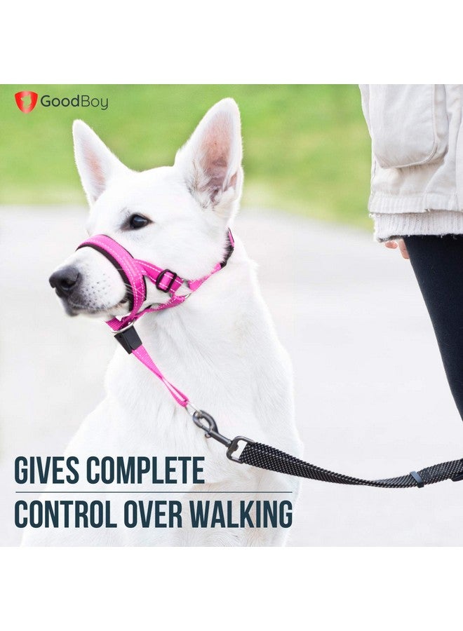 GoodBoy Dog Head Halter with Safety Strap - Stops Heavy Pulling On The Leash - Padded Headcollar for Small Medium and Large Dog Sizes - Head Collar Training Guide Included (Size 4, Pink Nylon) - Image 2