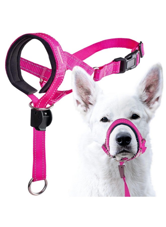 GoodBoy Dog Head Halter with Safety Strap - Stops Heavy Pulling On The Leash - Padded Headcollar for Small Medium and Large Dog Sizes - Head Collar Training Guide Included (Size 4, Pink Nylon) - Image 1