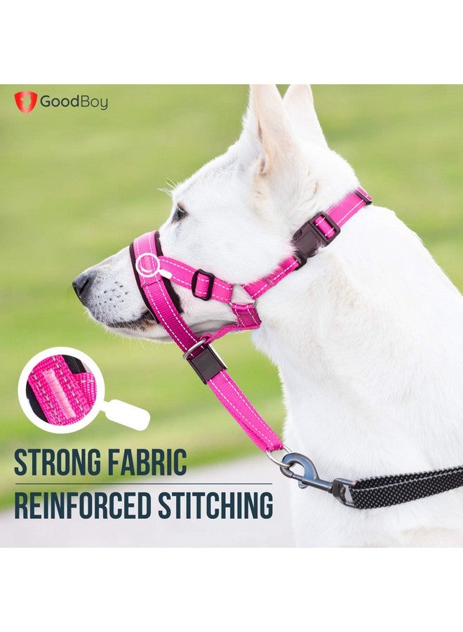 GoodBoy Dog Head Halter with Safety Strap - Stops Heavy Pulling On The Leash - Padded Headcollar for Small Medium and Large Dog Sizes - Head Collar Training Guide Included (Size 4, Pink Nylon) - Image 4