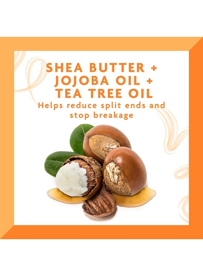 كانتو زيت الشعر وفروة الرأس بزبدة الشيا وشجرة الشاي والجوجوبا 18 مل - Image 2