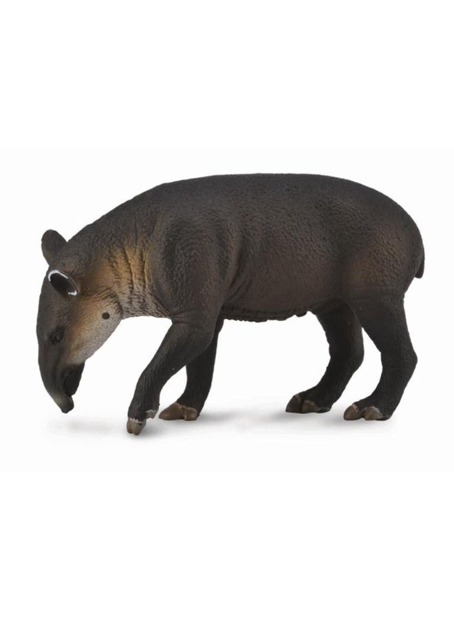 Collecta - Baird's Tapir - 88596
