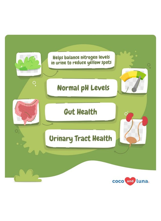 Coco and Luna Grass Burn Spot Soft Chews - Pee Grass Spot Saver Caused by Dog Urine - Dog Urine Neutralizer for Lawn, with Canine Enzyme Blend, Probiotics, and Cranberry.  - Image 1