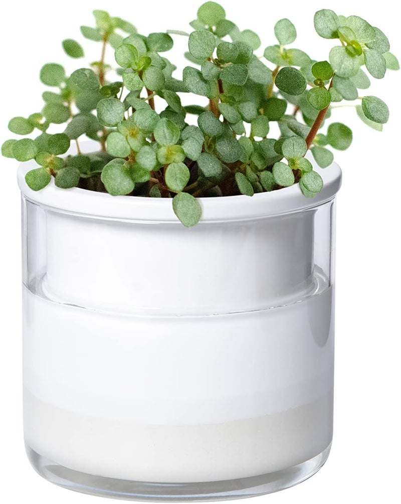 Phoenix Vine 4 Inch Self Watering Planter Pot, Design White Terracotta Pots for Plants, Indoor Cylinder Terra Cotta Pots with Glass Vase Set, 51-B-E - Image 1