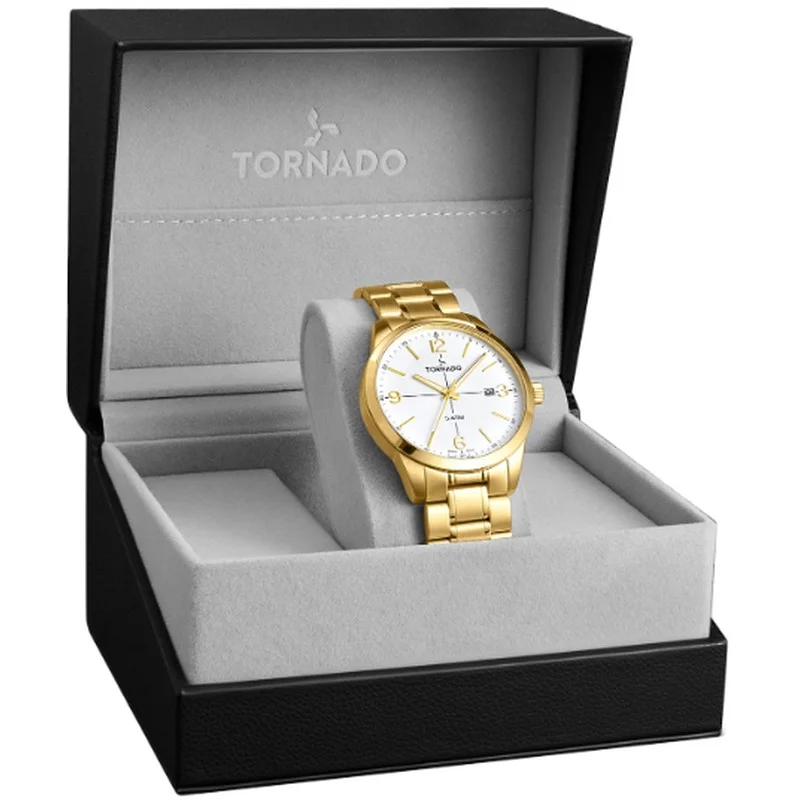 TORNADO Men's Stainless Steel Analog Watch T24007-GBGW - 42.5 mm