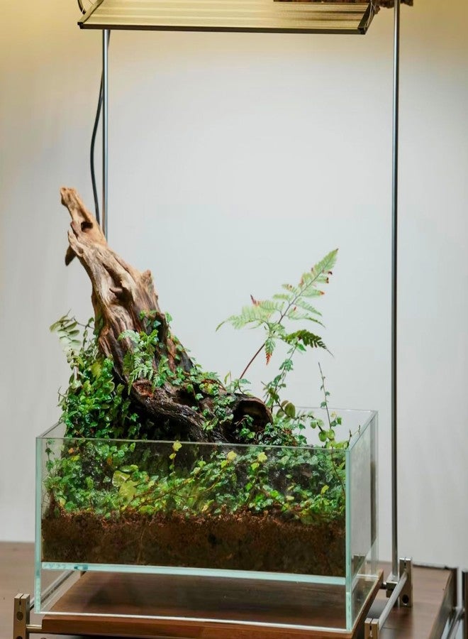 KINGRUI Natural Driftwood Spider Wood Branches Fish Tank and Reptile Terrarium Decor Assorted Sizes for Aquariums and Lizard Habitats (11-14 inch (Pack of 2), Mopani Driftwood) - Image 4