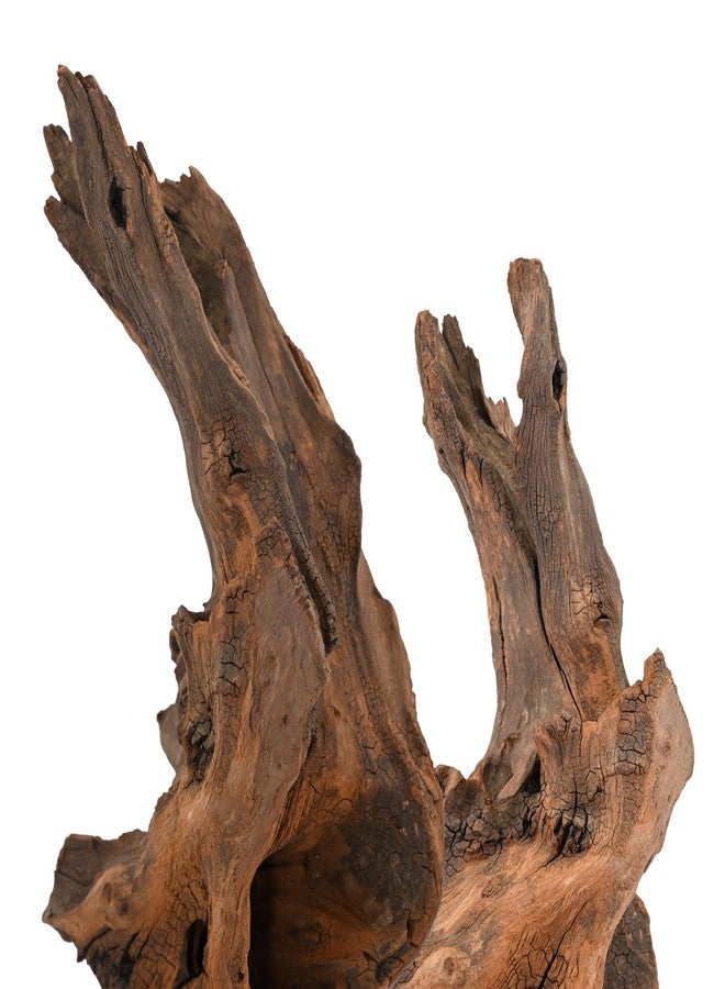 KINGRUI Natural Driftwood Spider Wood Branches Fish Tank and Reptile Terrarium Decor Assorted Sizes for Aquariums and Lizard Habitats (11-14 inch (Pack of 2), Mopani Driftwood) - Image 3