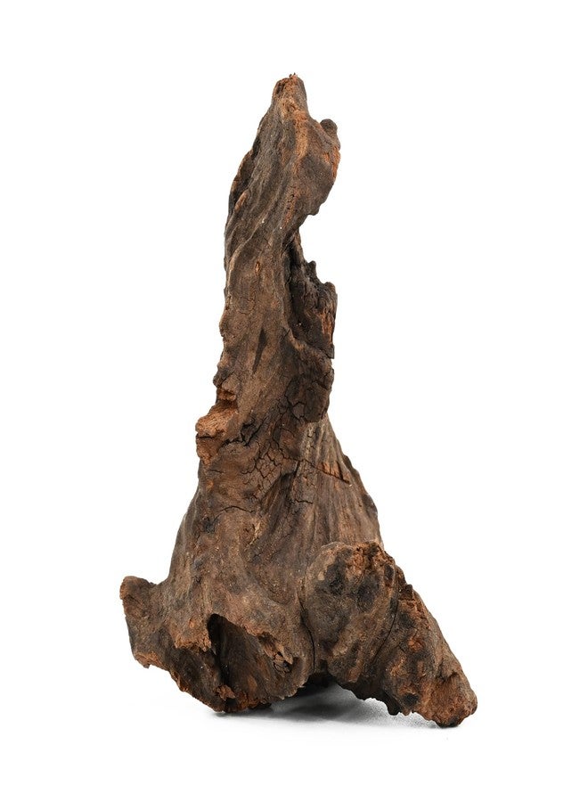 KINGRUI Natural Driftwood Spider Wood Branches Fish Tank and Reptile Terrarium Decor Assorted Sizes for Aquariums and Lizard Habitats (11-14 inch (Pack of 2), Mopani Driftwood) - Image 2