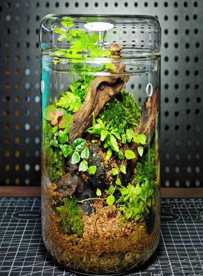 KINGRUI Natural Driftwood Spider Wood Branches Fish Tank and Reptile Terrarium Decor Assorted Sizes for Aquariums and Lizard Habitats (11-14 inch (Pack of 2), Mopani Driftwood) - Image 5