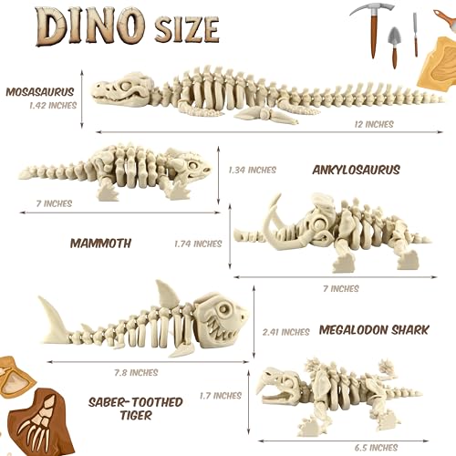 PowerTRC 5PCS 3D Printed Dinosaur Skeletons Fidget Toys Mosasaurus Ankylosaurus Mammoth Shark Saber Tiger Toy 3D Printed Dragon Animals Toys Articulated 3D Figurine Stress Relief Toy Bone White - Image 5
