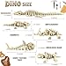 PowerTRC 5PCS 3D Printed Dinosaur Skeletons Fidget Toys Mosasaurus Ankylosaurus Mammoth Shark Saber Tiger Toy 3D Printed Dragon Animals Toys Articulated 3D Figurine Stress Relief Toy Bone White - Image 4