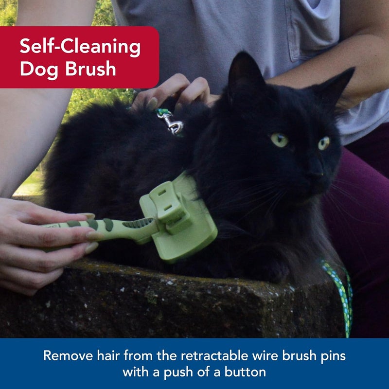 Coastal Pet Safari Cat Self-Cleaning Slicker Brush for Grooming - Image 3