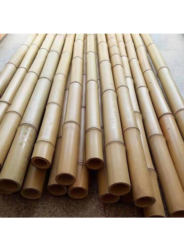 Generic FFD Bamboo Garden Poles Professional Strong Heavy Duty Gardening Sticks Plants Support Trellises Natural Bamboo Poles Flower Home Indoor Outdoor Trellis(120cm)(20pcs)  - Image 1