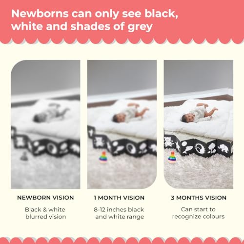 Busy Bubb - High Contrast New Born Flash Cards for Kids | 12 Objects for Visual Stimulation, Cognitive & Sensory Development of 0-6 Month Old Infants | Self Standing Cards for Enjoyable Tummy Time - Image 3