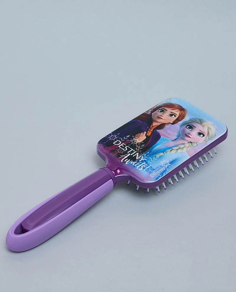 R&b Frozen Paddle Brush