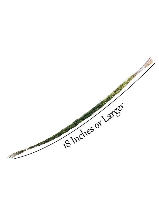 Alternative Imagination Sweetgrass Braid - Natural Incense - 18 To 23 Inches Long - Image 3