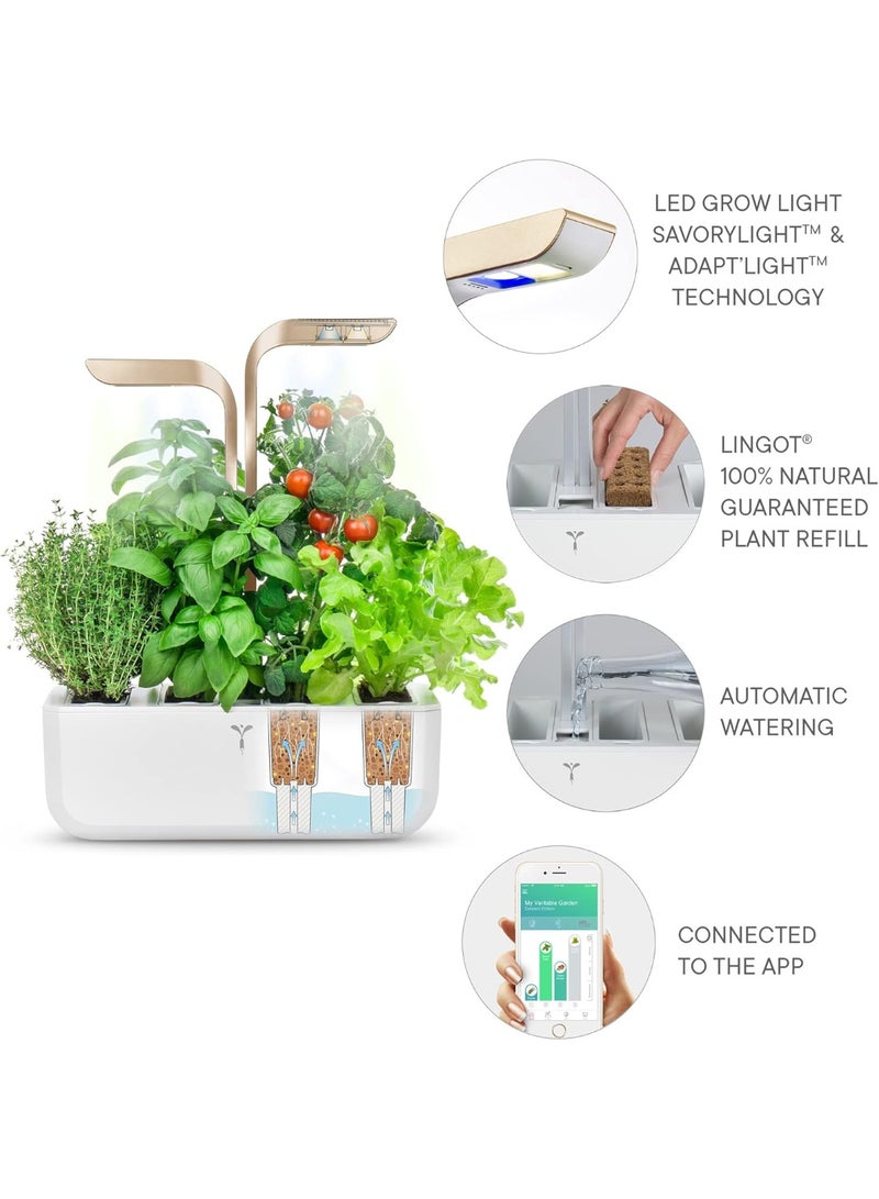 Veritable CONNECT Indoor Smart Organic  Garden Moonlight Gold – Silent Self Watering – Made In France - Image 5