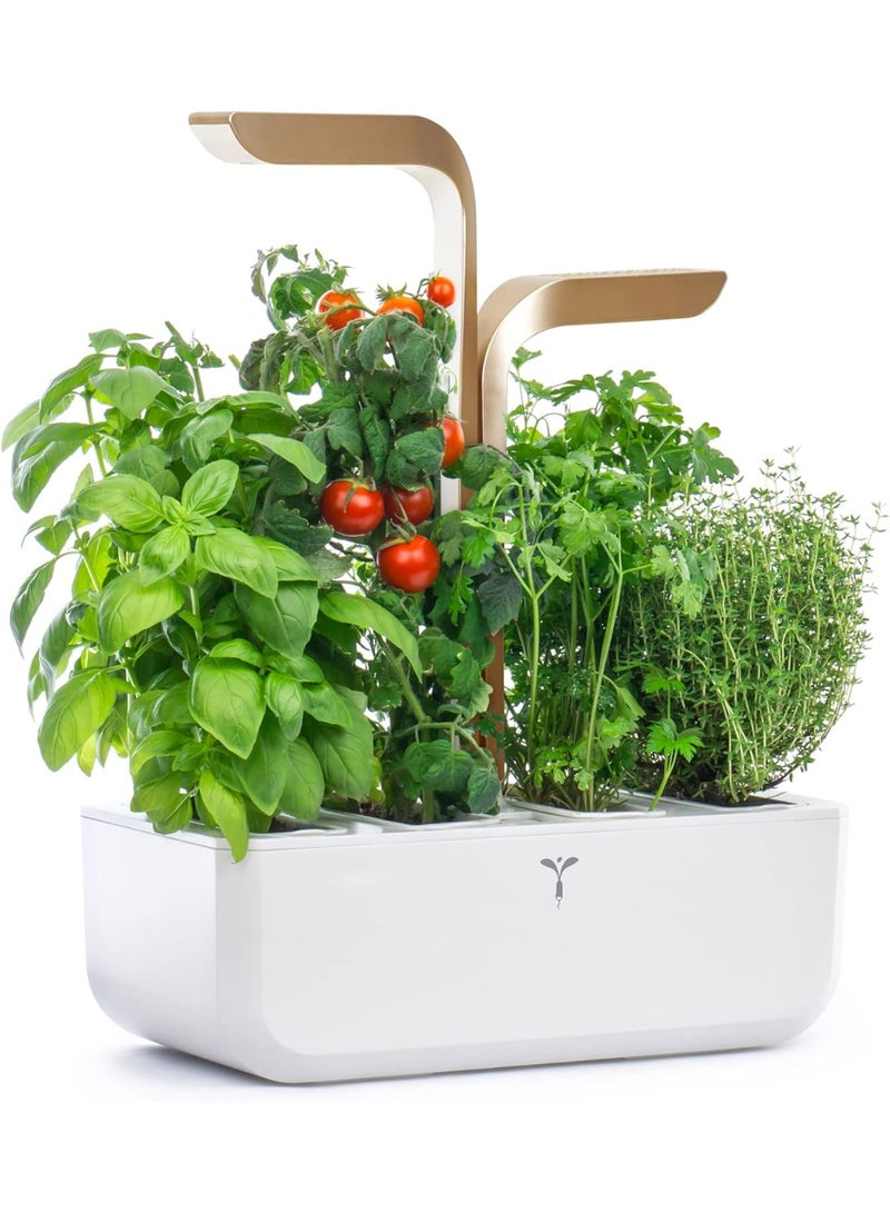 Veritable CONNECT Indoor Smart Organic  Garden Moonlight Gold – Silent Self Watering – Made In France - Image 1