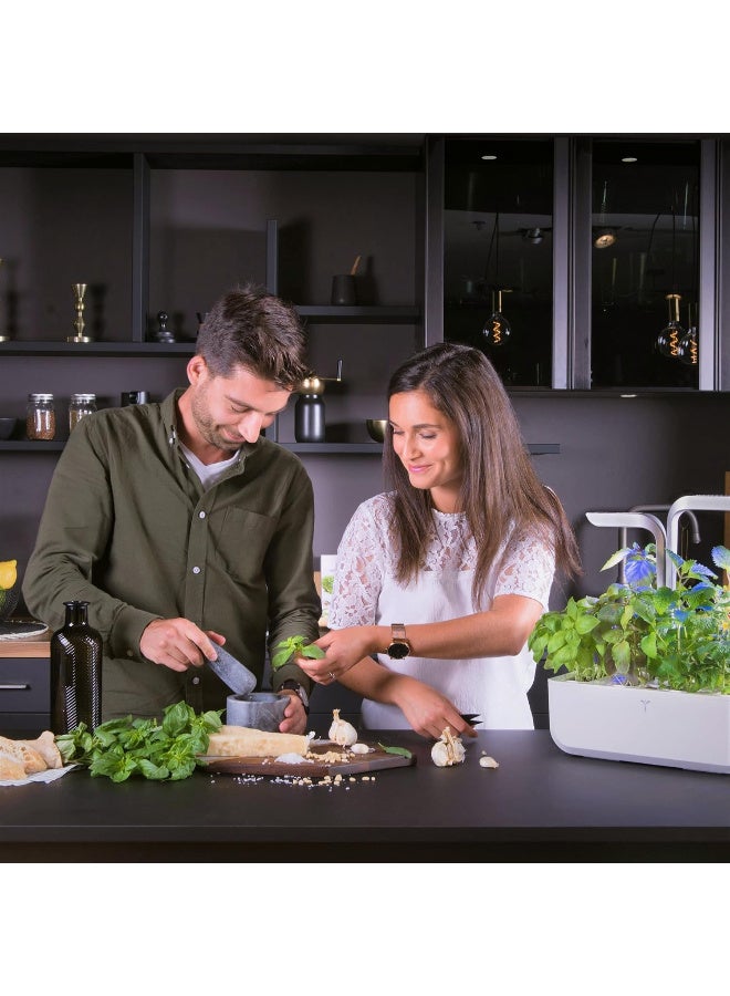 Veritable CONNECT Indoor Smart Organic  Garden Moonlight Gold – Silent Self Watering – Made In France - Image 2