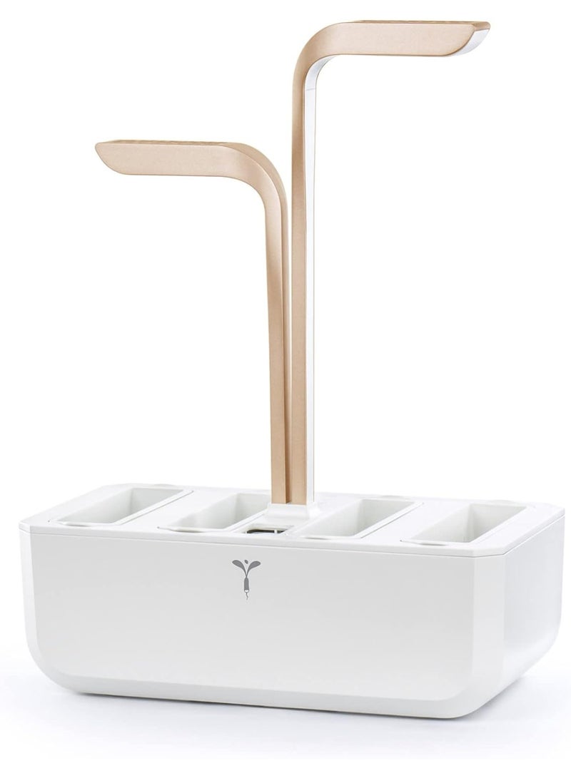 Veritable CONNECT Indoor Smart Organic  Garden Moonlight Gold – Silent Self Watering – Made In France - Image 3