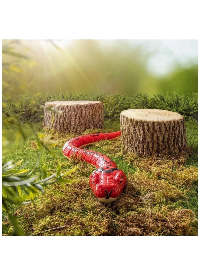 PlayandDream - Boa Infrared Remote Control Snake With Light Up Eyes - Image 1