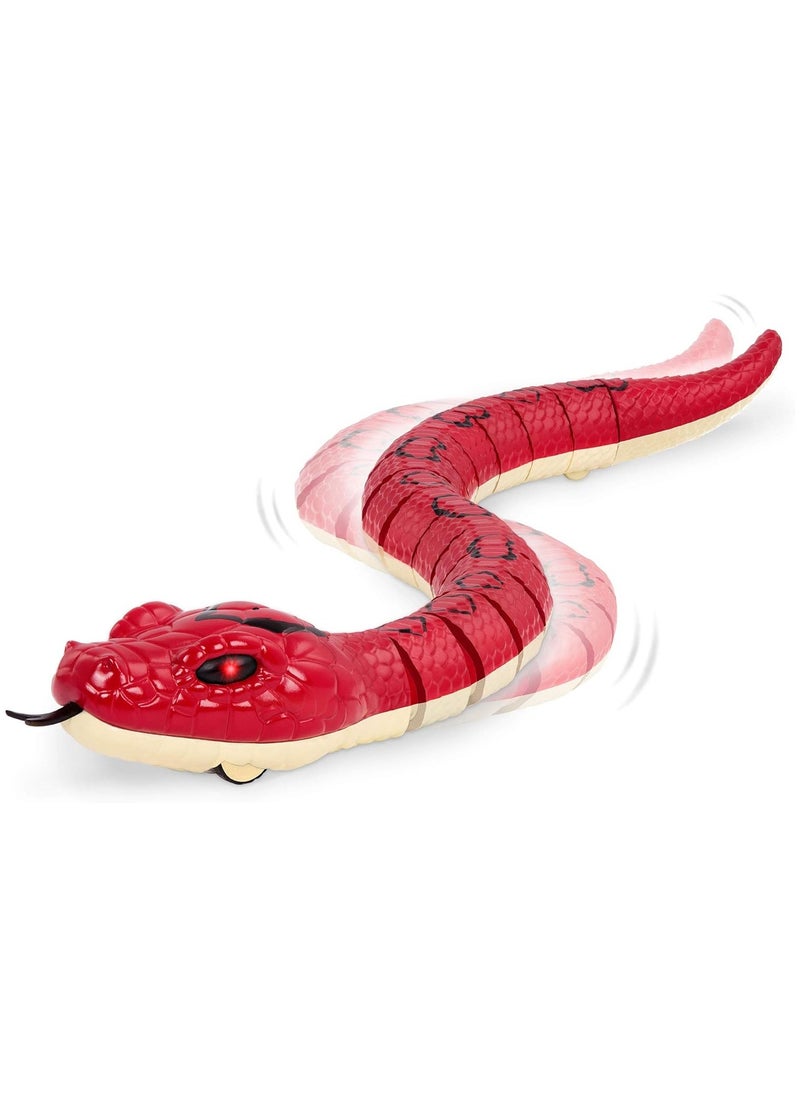 PlayandDream - Boa Infrared Remote Control Snake With Light Up Eyes - Image 1