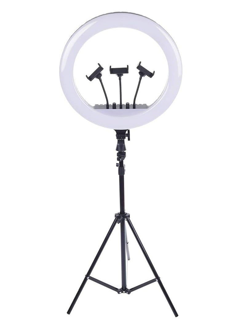 RL Professional RL-18 Makeup Selfie Studio Video Ring Lamp For Live Show Streaming LED Ring Light - Image 2