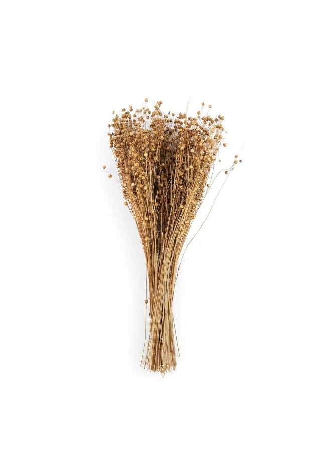 Pan Home باقة تيسي المجففة ارتفاع 50 سم - مبيض - Image 1