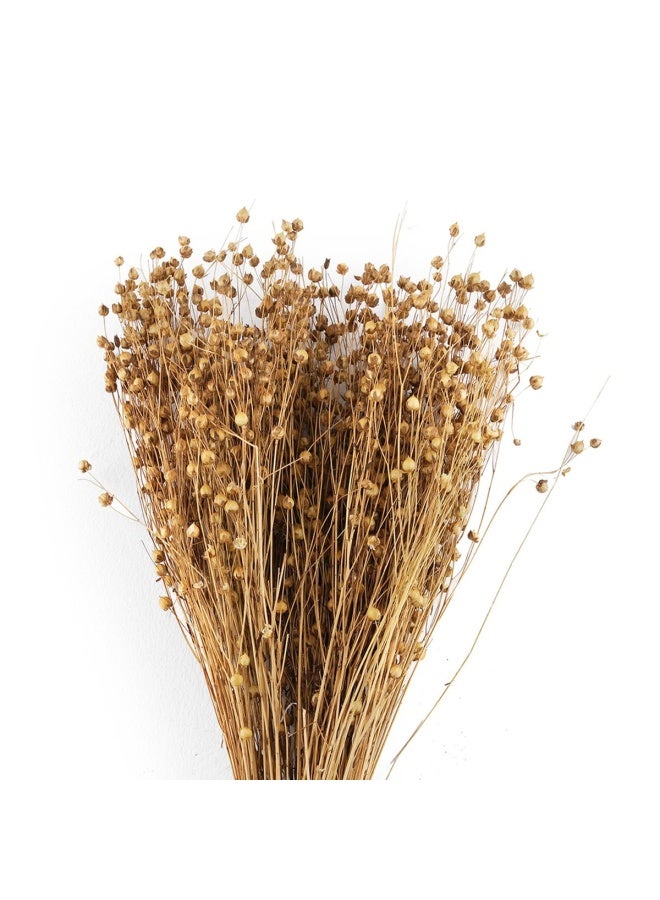 Pan Home باقة تيسي المجففة ارتفاع 50 سم - مبيض - Image 2