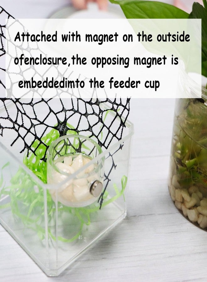 JILINWEI Jumping Spider Feeding Dish, Magnetic Tiny Food Dishes Water Dish for Jumping Spider, Tarantula and Other Small Pets,Transparent - Image 3