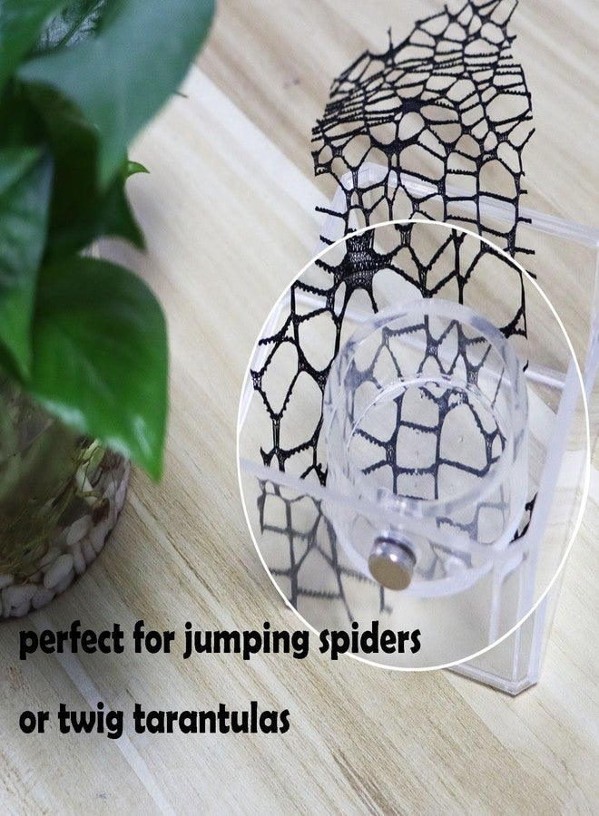 JILINWEI Jumping Spider Feeding Dish, Magnetic Tiny Food Dishes Water Dish for Jumping Spider, Tarantula and Other Small Pets,Transparent - Image 5