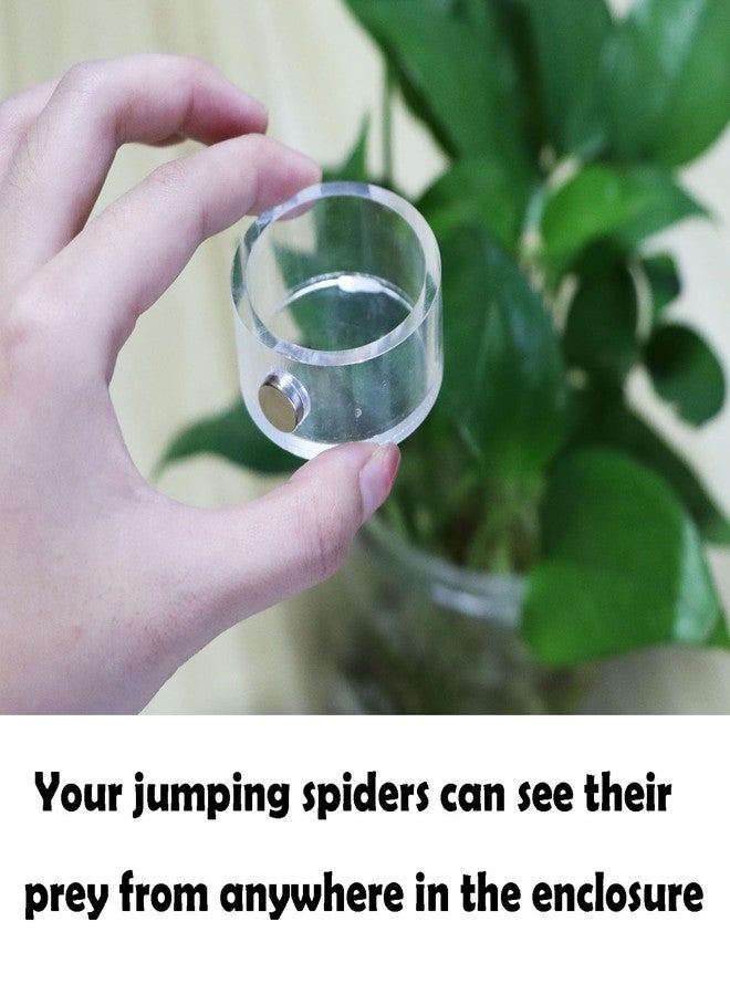 JILINWEI Jumping Spider Feeding Dish, Magnetic Tiny Food Dishes Water Dish for Jumping Spider, Tarantula and Other Small Pets,Transparent - Image 4