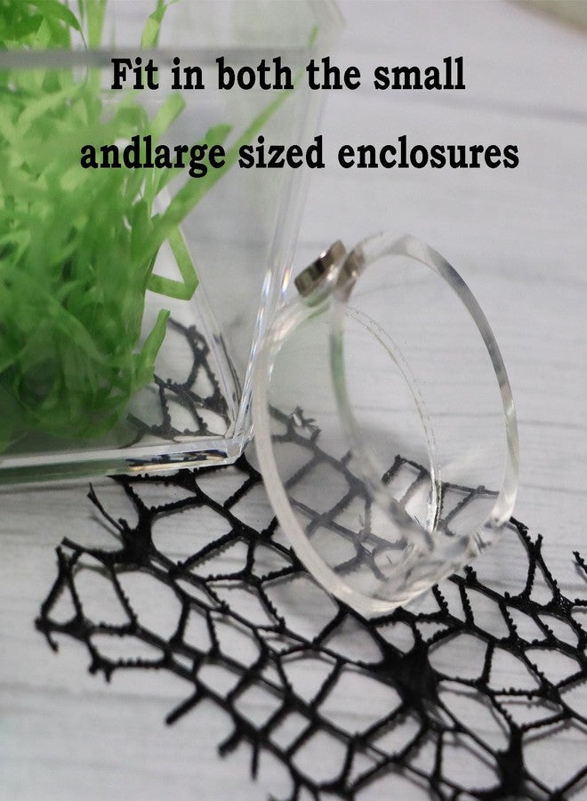 JILINWEI Jumping Spider Feeding Dish, Magnetic Tiny Food Dishes Water Dish for Jumping Spider, Tarantula and Other Small Pets,Transparent - Image 2