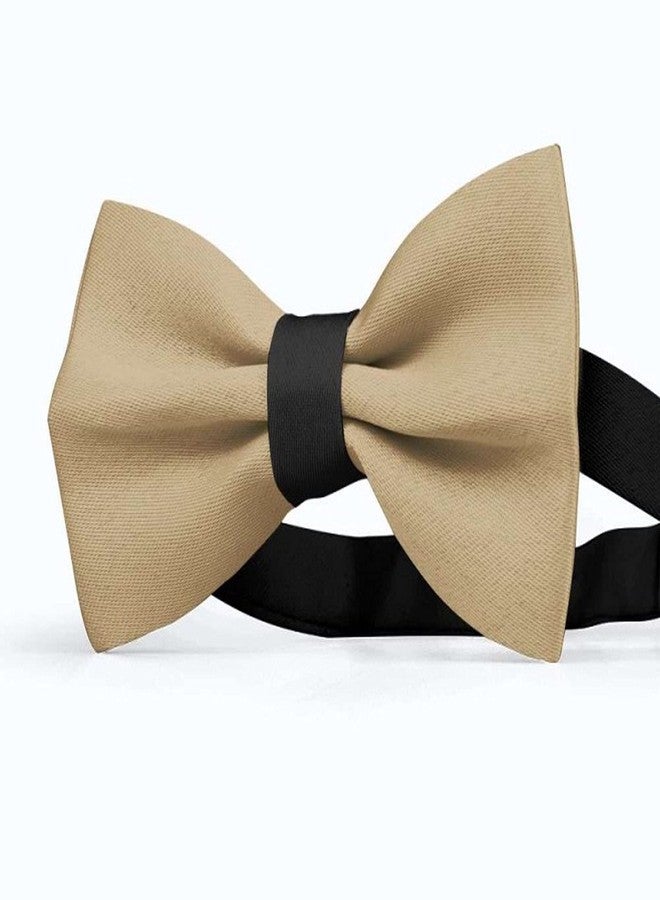 RR Design Dog Bow Tie/Dog Bow-tie/Dog Gift (Adjustable) (Beige, Large) - Image 1