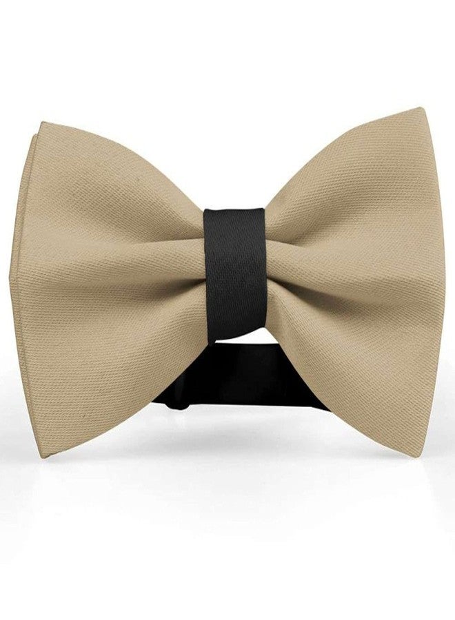 RR Design Dog Bow Tie/Dog Bow-tie/Dog Gift (Adjustable) (Beige, Large) - Image 3