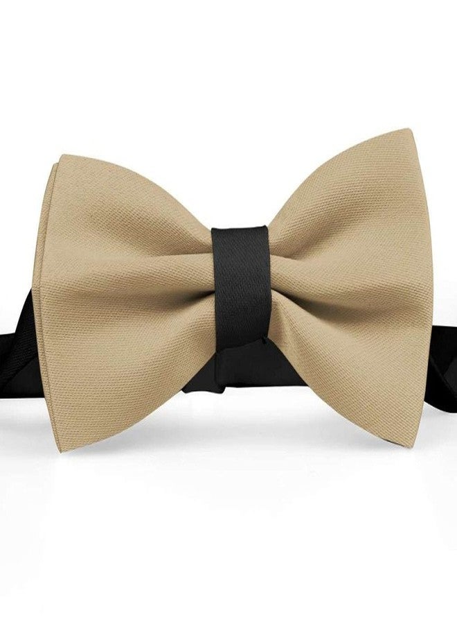 RR Design Dog Bow Tie/Dog Bow-tie/Dog Gift (Adjustable) (Beige, Large) - Image 2
