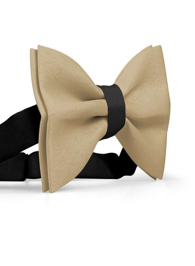 RR Design Dog Bow Tie/Dog Bow-tie/Dog Gift (Adjustable) (Beige, Large) - Image 4