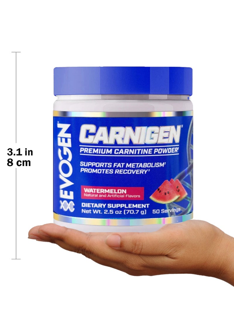 Carnigen, Carnitine Fat Burning Powder - Watermelon - (50 Servings)