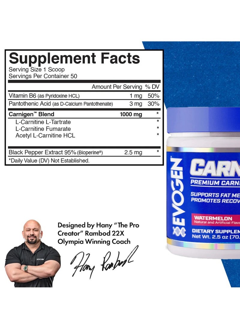 Carnigen, Carnitine Fat Burning Powder - Watermelon - (50 Servings)