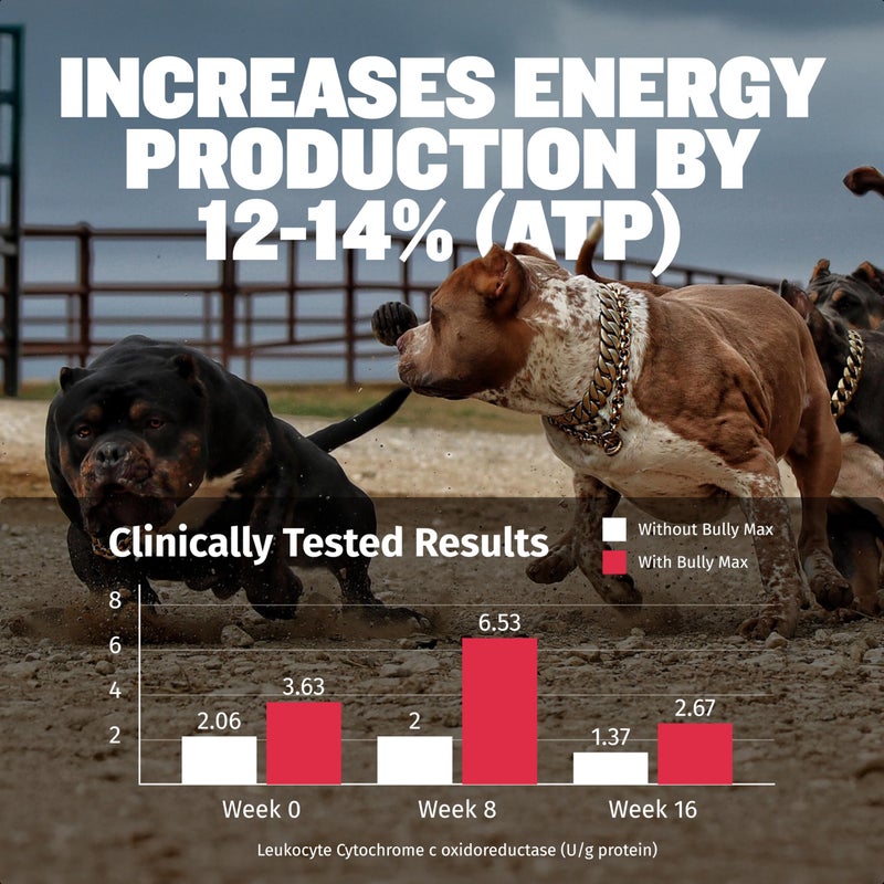 Bully Max 3-in-1 Liquid Dog Muscle Builder for Puppy and Adult Dogs - Dog Vitamins & Supplements for Performance, Energy, Recovery, Immune Support, Skin, Coat Health - Canine Supplement for All Breeds - Image 2