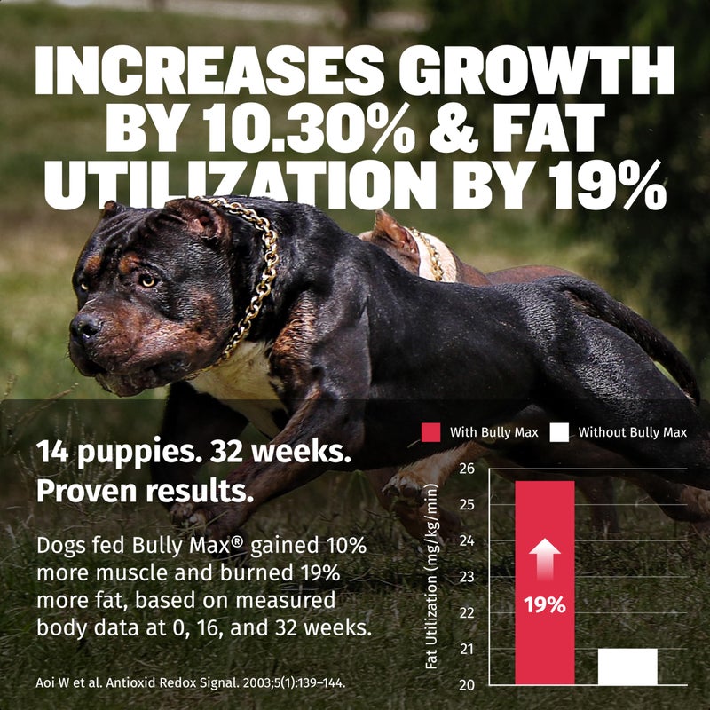 Bully Max 3-in-1 Liquid Dog Muscle Builder for Puppy and Adult Dogs - Dog Vitamins & Supplements for Performance, Energy, Recovery, Immune Support, Skin, Coat Health - Canine Supplement for All Breeds - Image 5