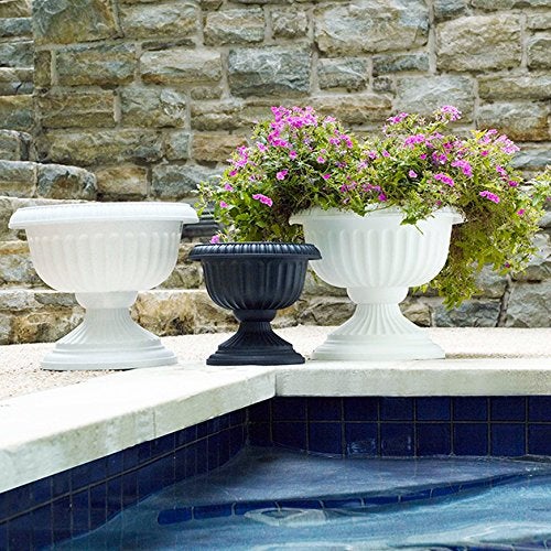 Root & Vessel Grecian Urn Planter, Black, 12-Inch - Image 5