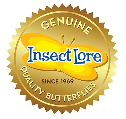 Insect Lore حديقة الفراشات من إنسيكت لور | مجموعة الفراشات مع يرقات حية | 5 يرقات، موطن قابل لإعادة الاستخدام، دفتر يوميات STEM للفراشات والمزيد - Image 5