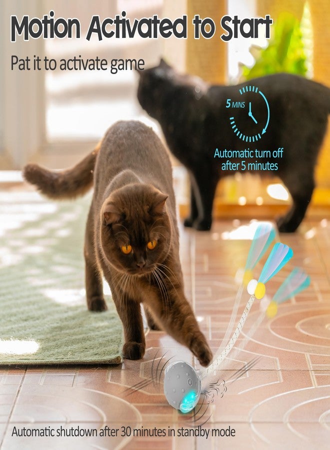 PLITTPETTS Interactive Cat Toys Ball for Indoor Cats, Automatic Moving Ball Toy with Elastic Mesh Tail, Chirping & Obstacle Avoidance and Motion Activated, Grey【Rechargeable】 - Image 5
