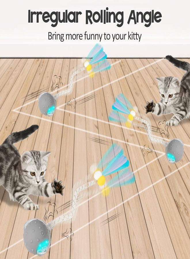 PLITTPETTS Interactive Cat Toys Ball for Indoor Cats, Automatic Moving Ball Toy with Elastic Mesh Tail, Chirping & Obstacle Avoidance and Motion Activated, Grey【Rechargeable】 - Image 2