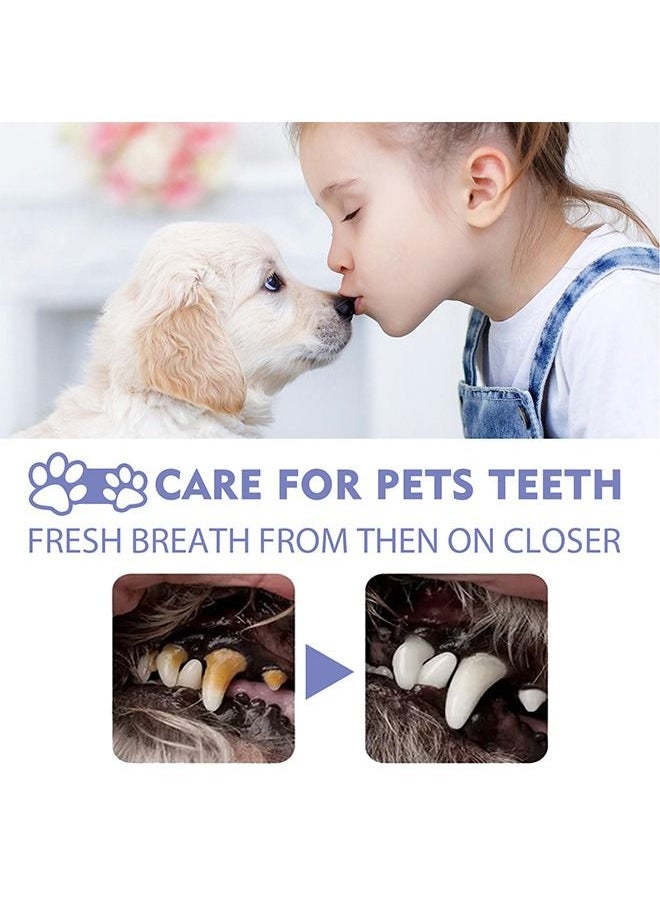 YEGBONG - Dogs & Cats Oral Spray Clean Teeth, Pet Clean Teeth Cleaning Spray for Dogs & Cats, Pet Bad Breath Treatment, Pet Breath Freshener Spray Care Cleaner, Targets Tartar & Plaque Eliminate Bad Breath - Image 1