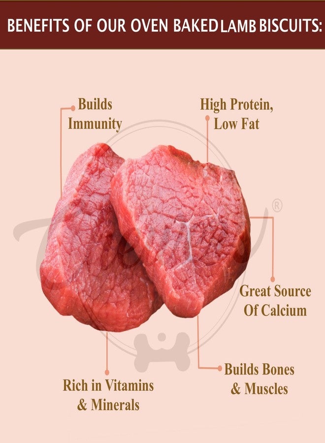 Chewers Oven Baked Real Beef (Buffalo) Dog Biscuits, Beef Flavour, Dog Treat 1 Kg - Image 2